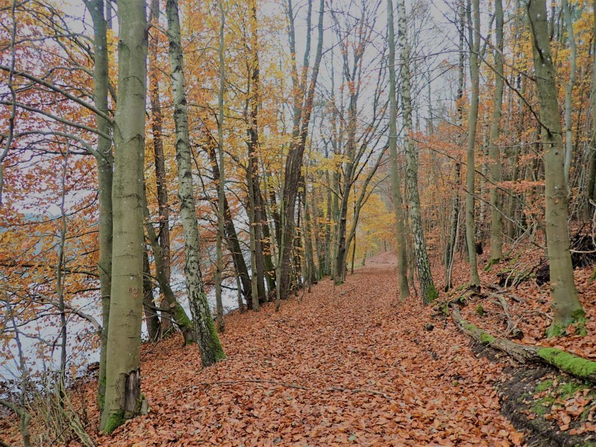 Ostoja Bukowo 12,2 Chata U Szoltesa Borowy Mlyn Экстерьер фото