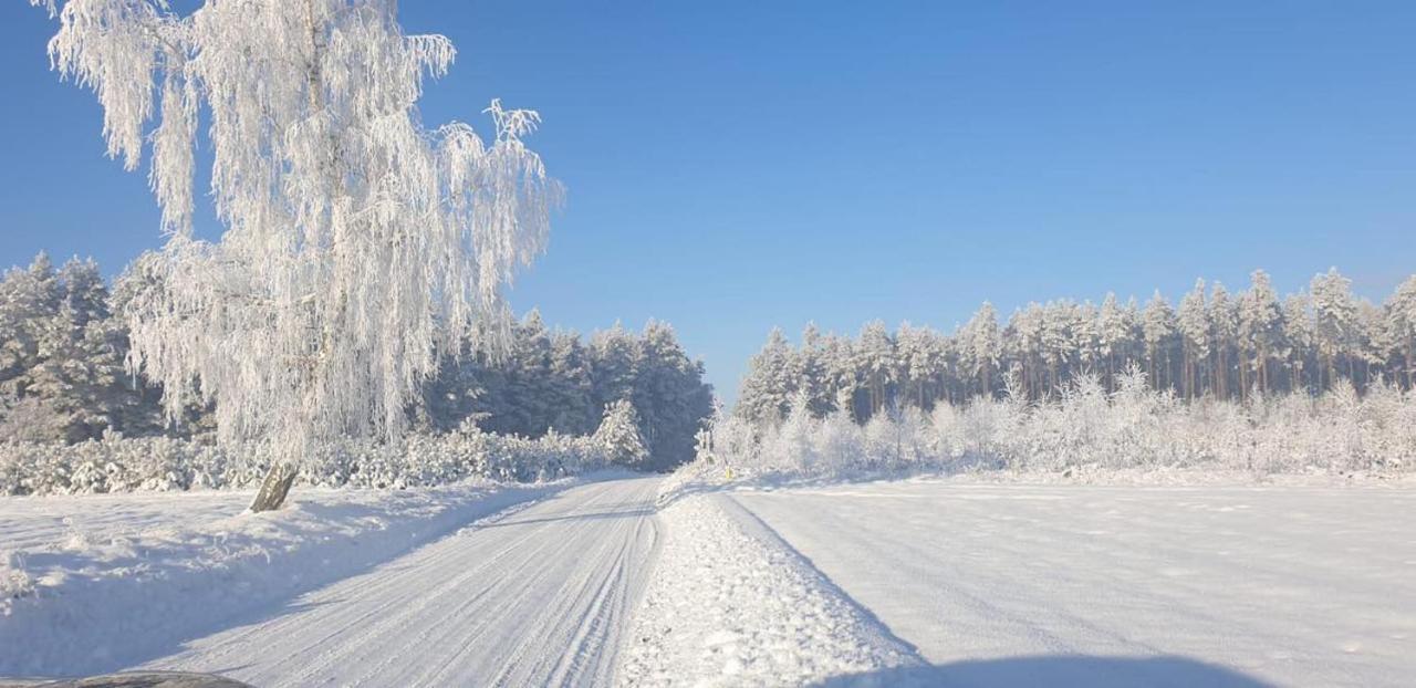 Ostoja Bukowo 12,2 Chata U Szoltesa Borowy Mlyn Экстерьер фото