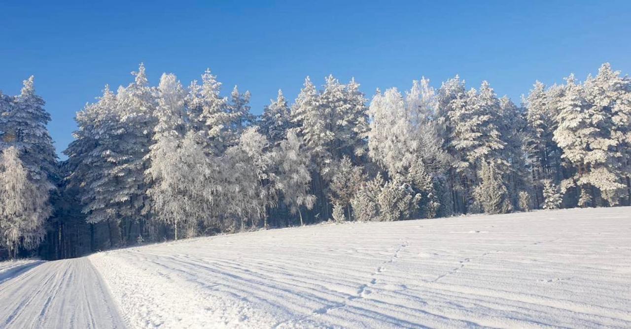 Ostoja Bukowo 12,2 Chata U Szoltesa Borowy Mlyn Экстерьер фото